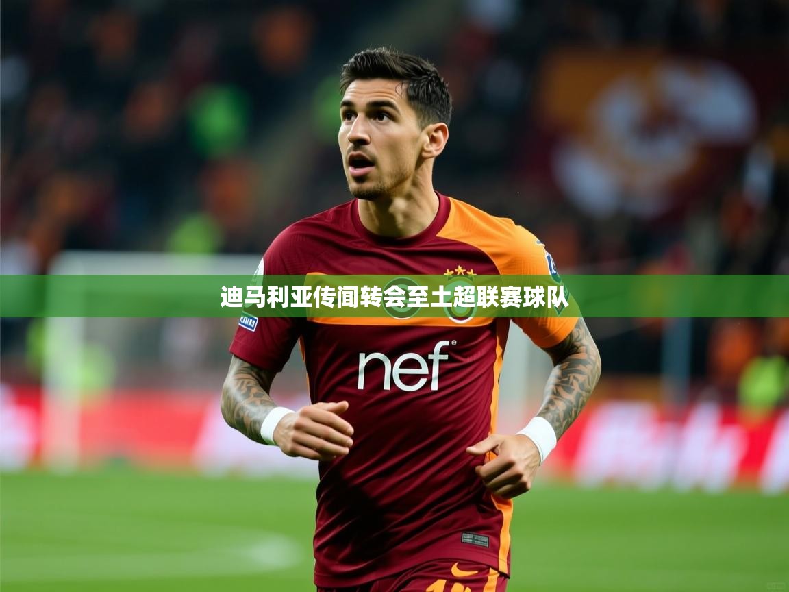 迪马利亚传闻转会至土超联赛球队  第3张